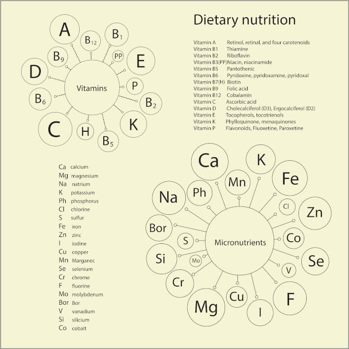 A dietary nutrition chart displaying a list of essential vitamins and micronutrients required by the human body.